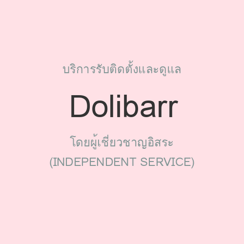 รับติดตั้งและดูแล Dolibarr